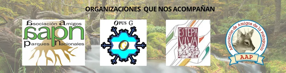 NOS ACOMPAÑAN